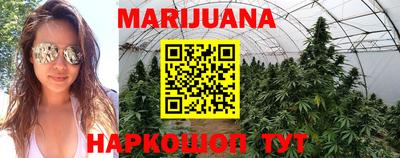 гидропоника Заволжье