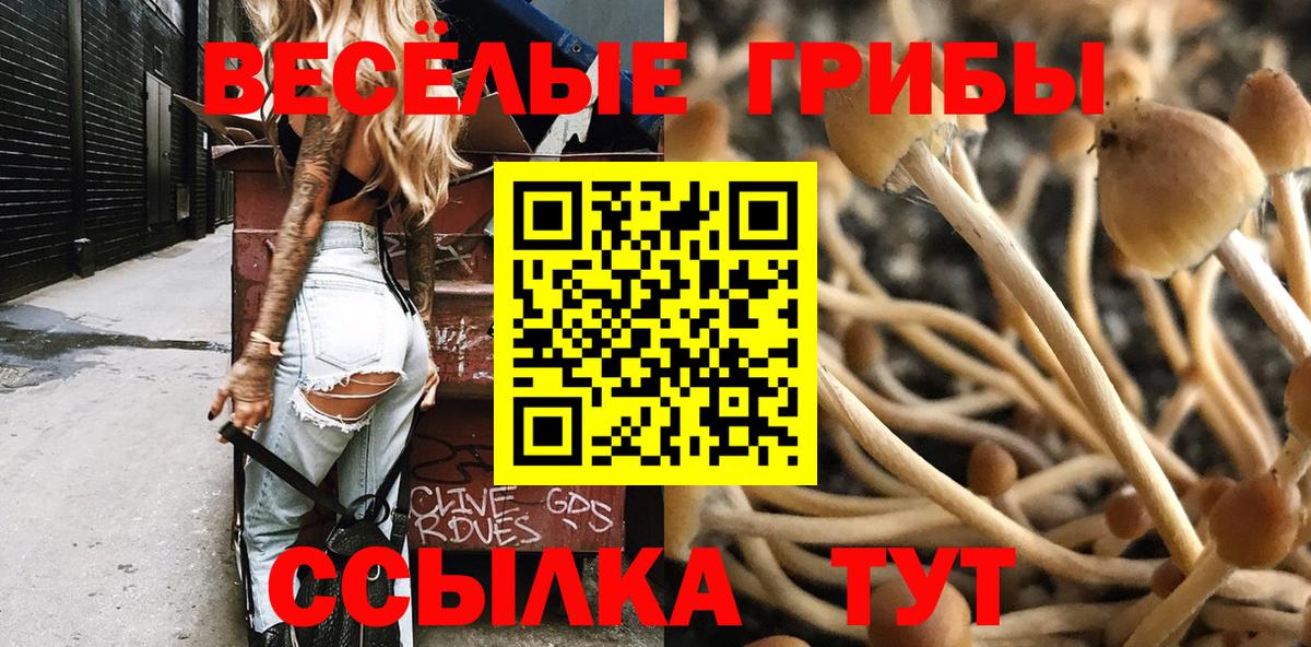 Миасс  Галлюциногенные грибы MAGIC MUSHROOMS  Вход с VPN 